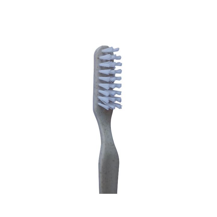Brosse à dents en fibre de blé avec capuchon pour tourisme durable