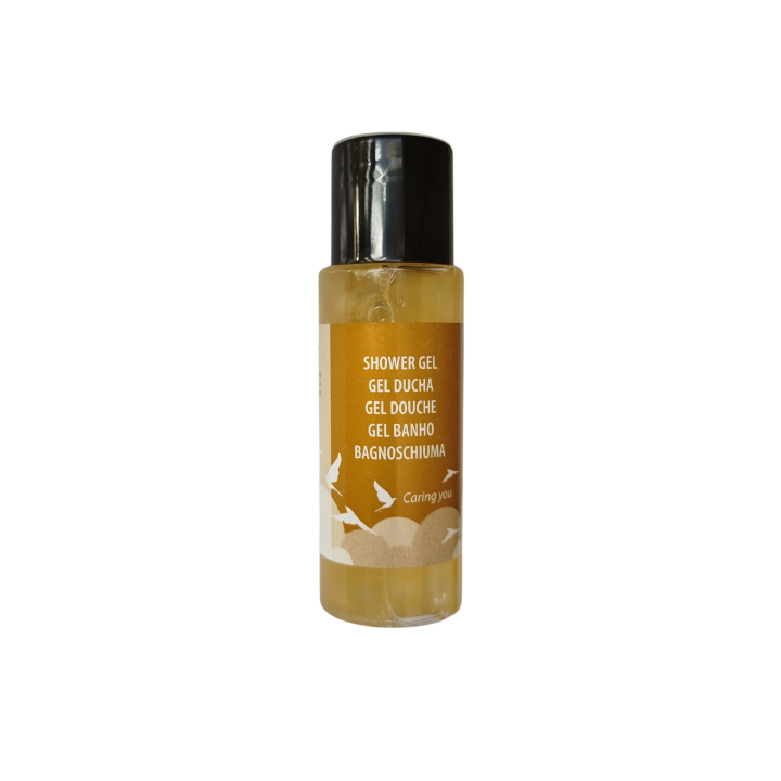 Gel de douche des produits d'accueil pour salles de bains d'hôtel