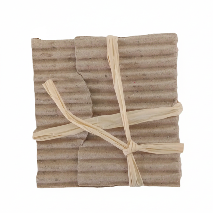 Shower Cap of Luxury Collection for Hotel Amenities