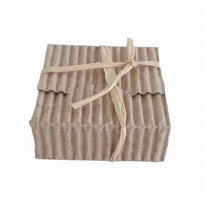Shower Cap of Luxury Collection for Hotel Amenities