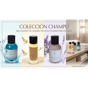 Shampoo